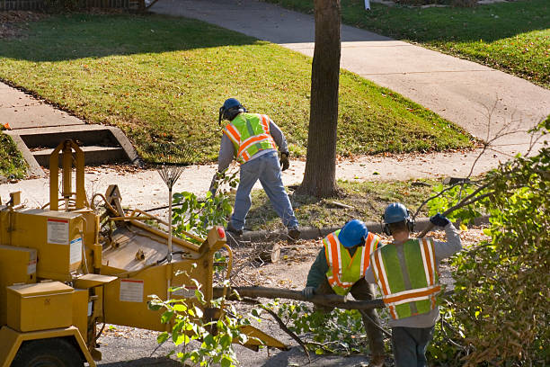 Best Lawn Drainage Solutions  in Galesville, MD